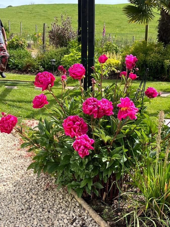 Bed and Breakfast Retreat At The Knowe Auchincruive Estate Ayr Exterior foto