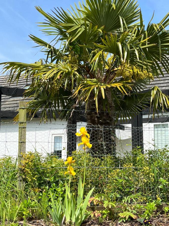 Bed and Breakfast Retreat At The Knowe Auchincruive Estate Ayr Exterior foto
