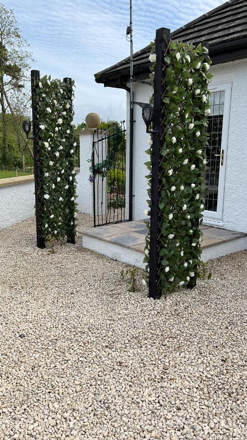Bed and Breakfast Retreat At The Knowe Auchincruive Estate Ayr Exterior foto