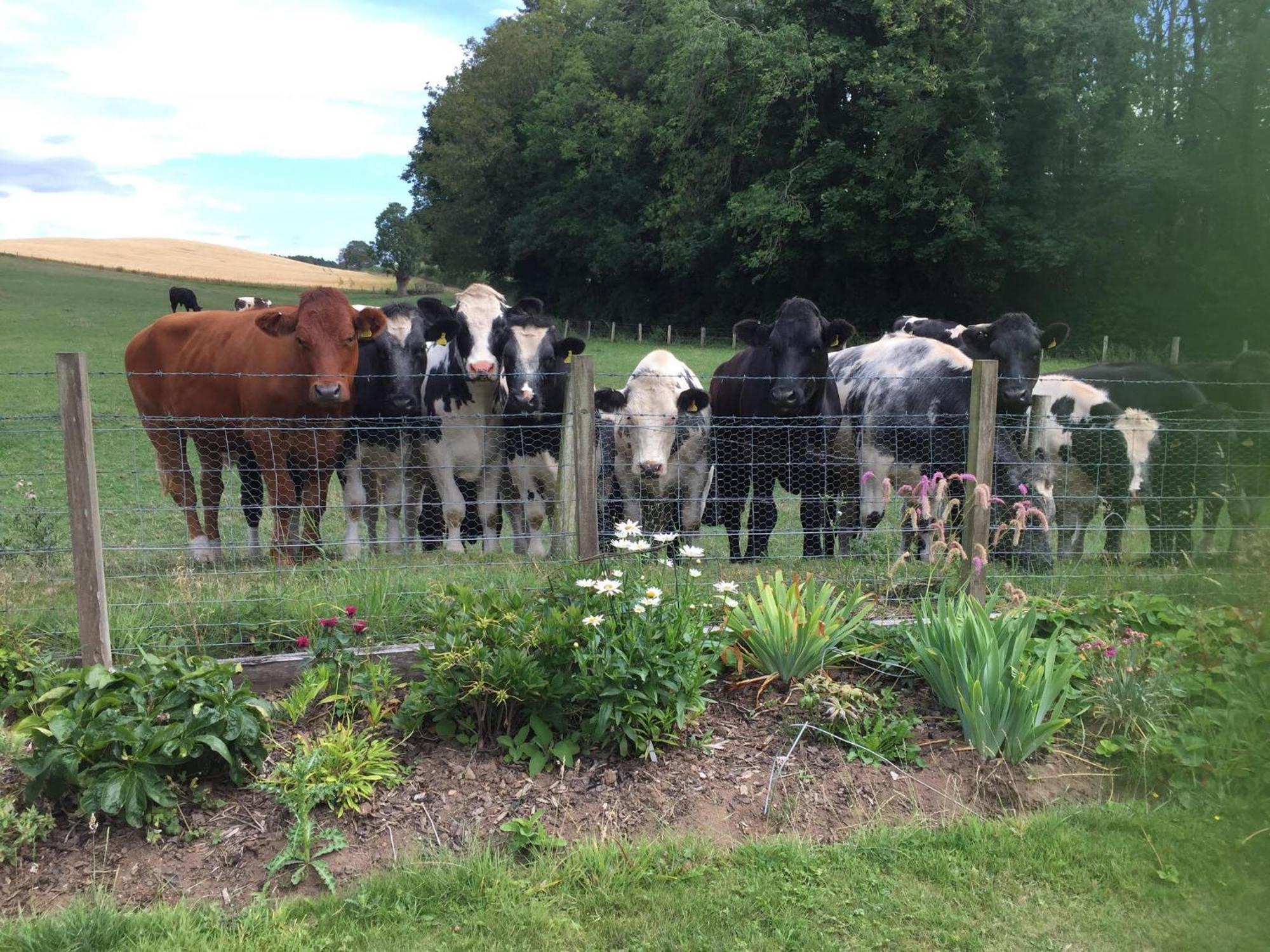Bed and Breakfast Retreat At The Knowe Auchincruive Estate Ayr Exterior foto