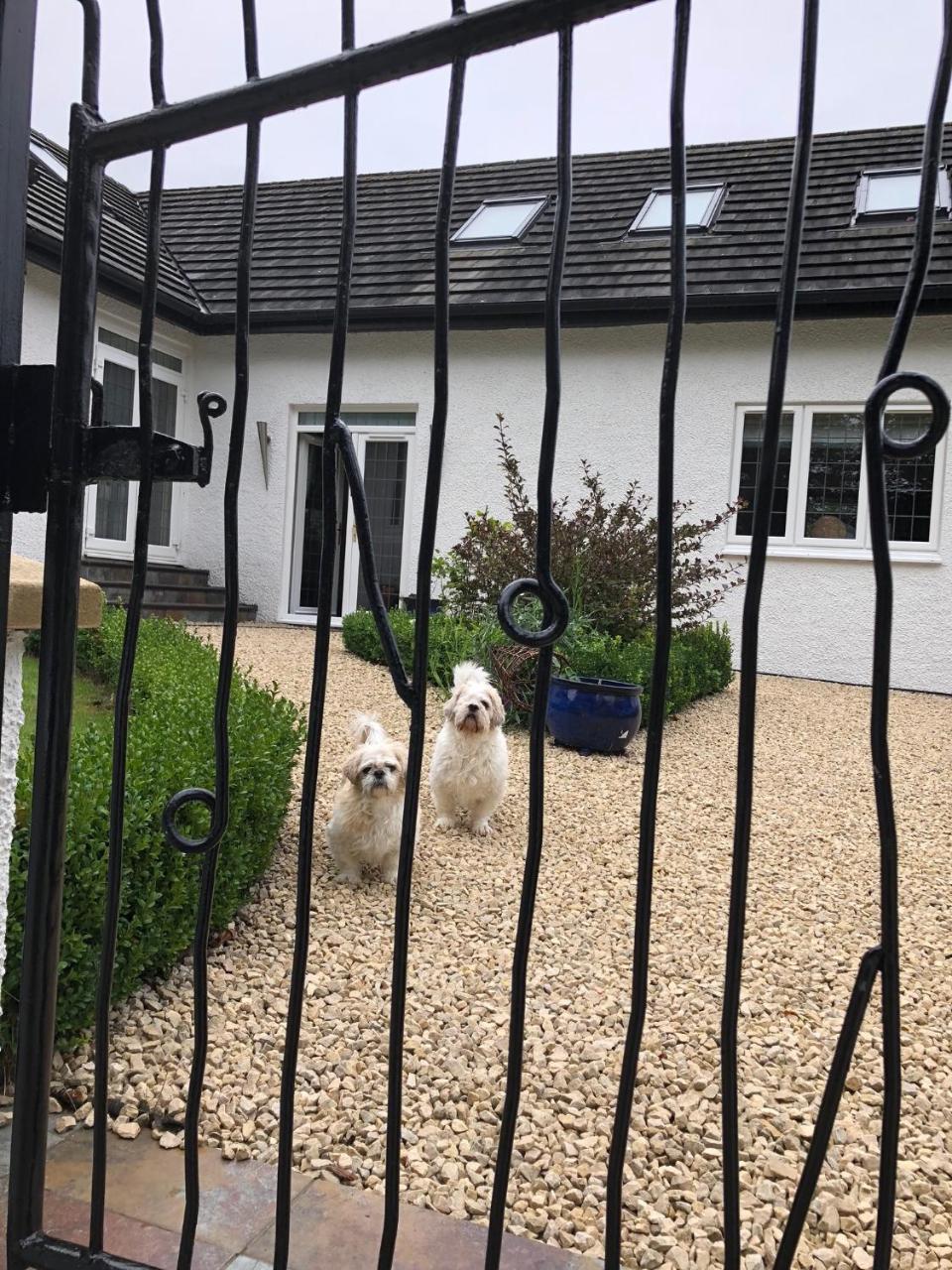 Bed and Breakfast Retreat At The Knowe Auchincruive Estate Ayr Exterior foto