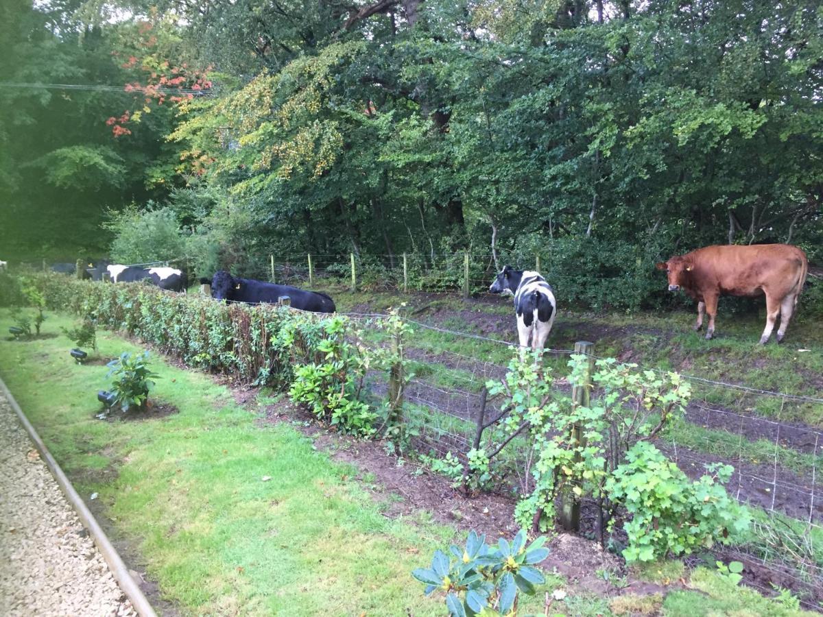 Bed and Breakfast Retreat At The Knowe Auchincruive Estate Ayr Exterior foto
